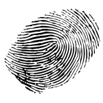 Kitchener Fingerprinting
